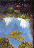 SkyReflection